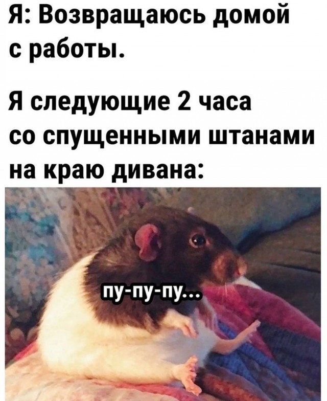 Воскресные картинки