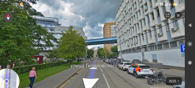 Запрещательство головного мозга