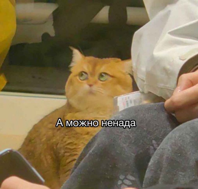 Субботние картинки
