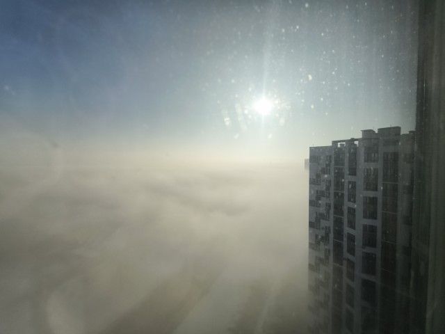 Сон, вызванный полётом пчелы вокруг граната, за секунду до пробуждения