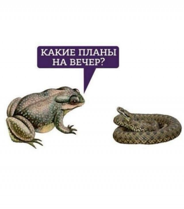 Вторника картинки