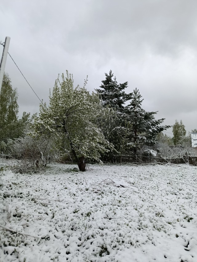 Кузбасс, 13.05.2026
