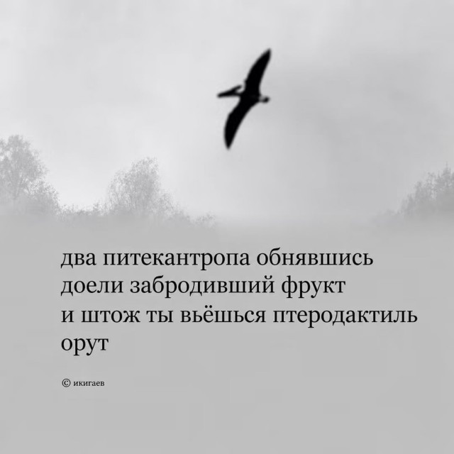 Солянка без копчёностей