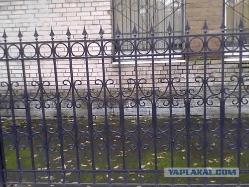 Невеста и жених