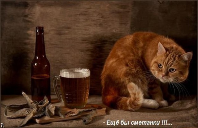 Давайте дружить