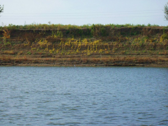 Рыбалка на Ахтубе. 2012. Первый опыт.