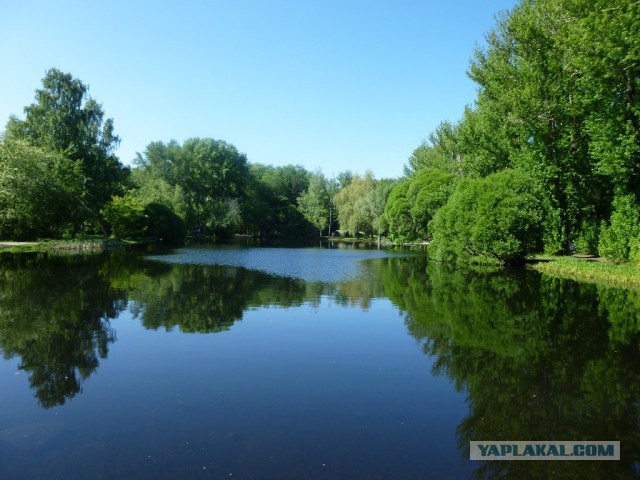 Деревенская Америка