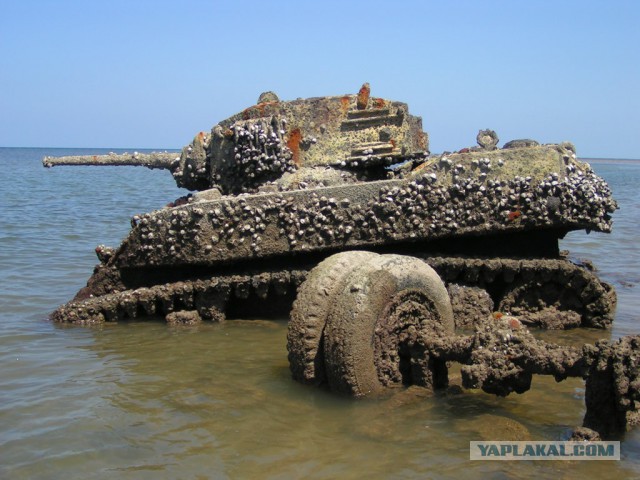 Wargaming 13