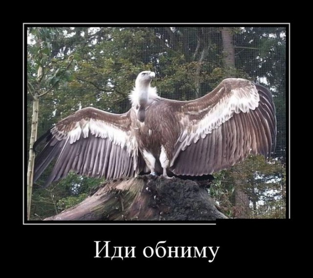 Демотиваторы октября.