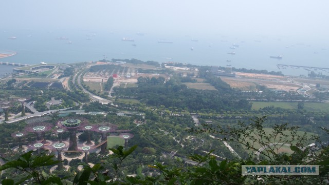 Сингапур. Гостиница "Марина Бэй"