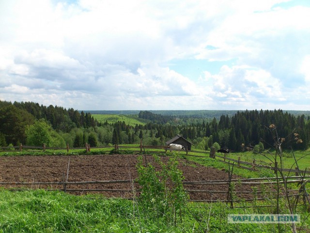 Хочу в Россию.