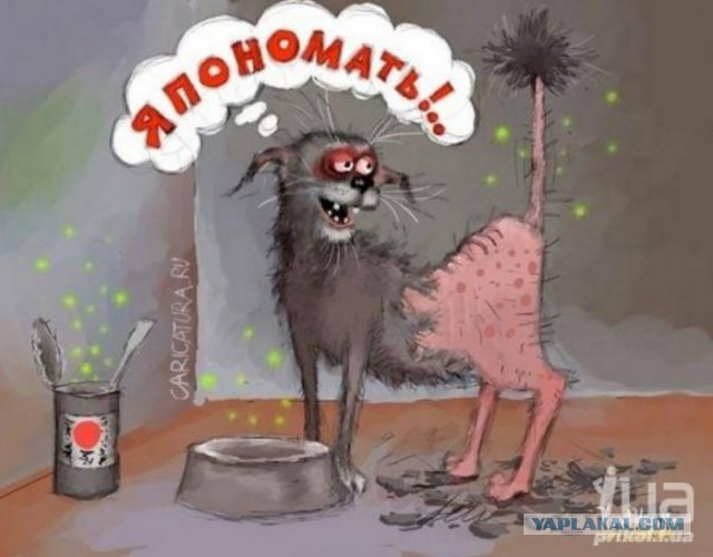 Опыт рентгеноскопии в домашних условиях