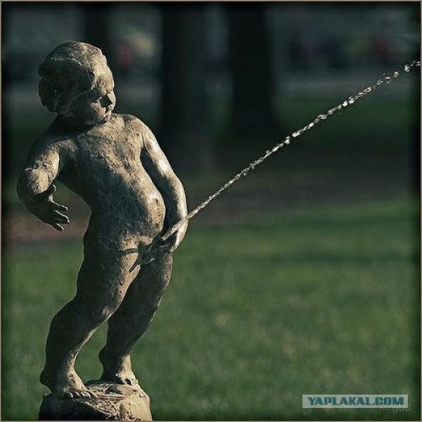 Сходил... по-маленькому