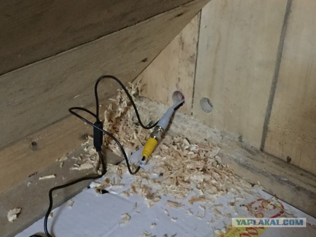 Видеонаблюдение на дачу своими руками