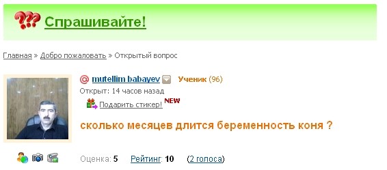 На форуме ветеринары есть?