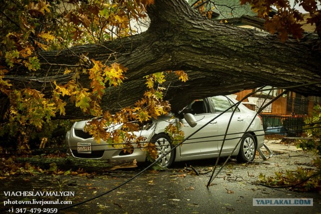 Ураган Сэнди. Конец Света начинается с США?