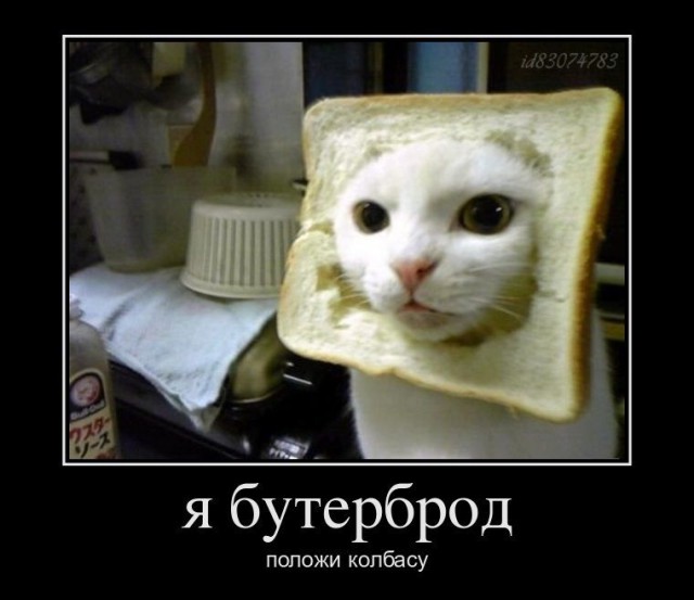 Весёлые картинки в чёрной рамке