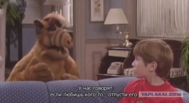 Картинки из ваших этих итернетов...
