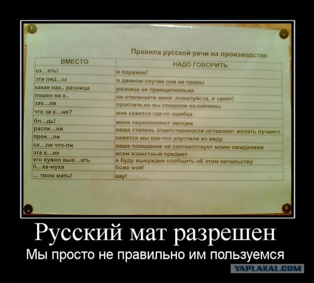 Ученые ДВФУ разоблачили русский мат...