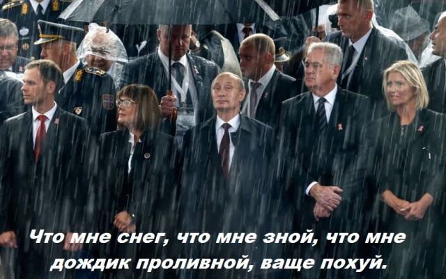 Забавные картинки из Сети