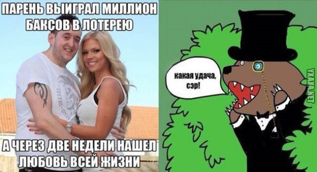 Ищу жену. Есть желающие?