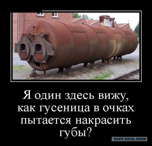 Картинки в черной рамке