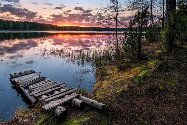 Моменты, запечатлённые на фото и просто позитив 5