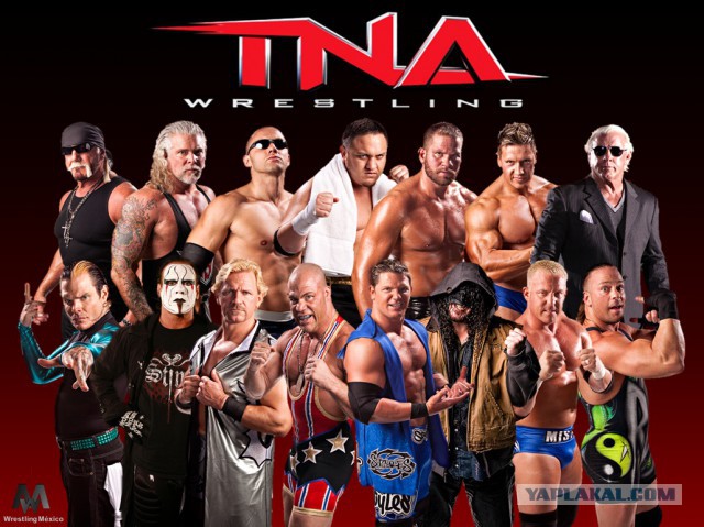 Скандал на боях по правилам TNA