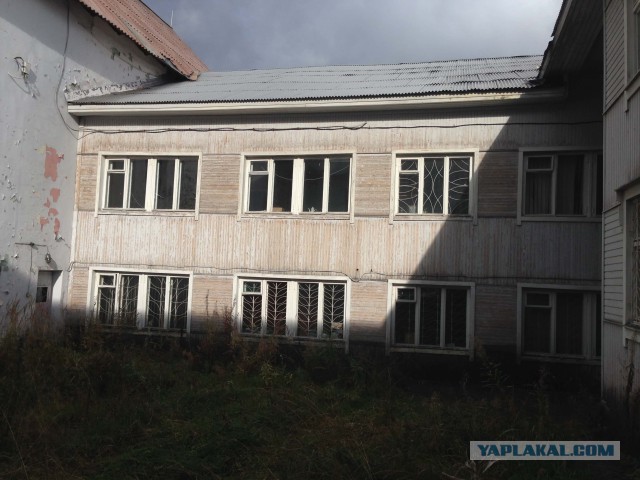 Как мы нашли клад или приключения экспатов в Карелии