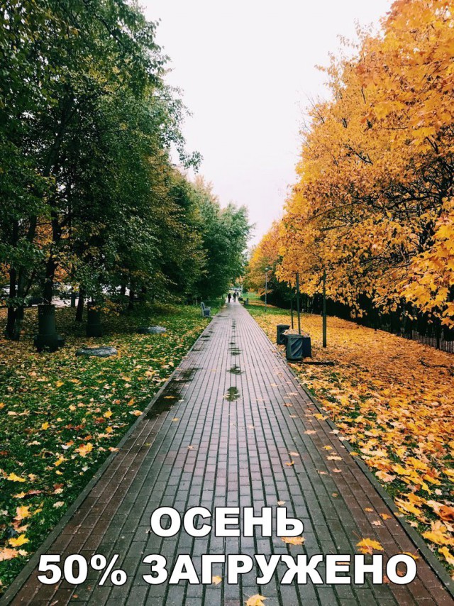 Забавных картинок не хотите ли?