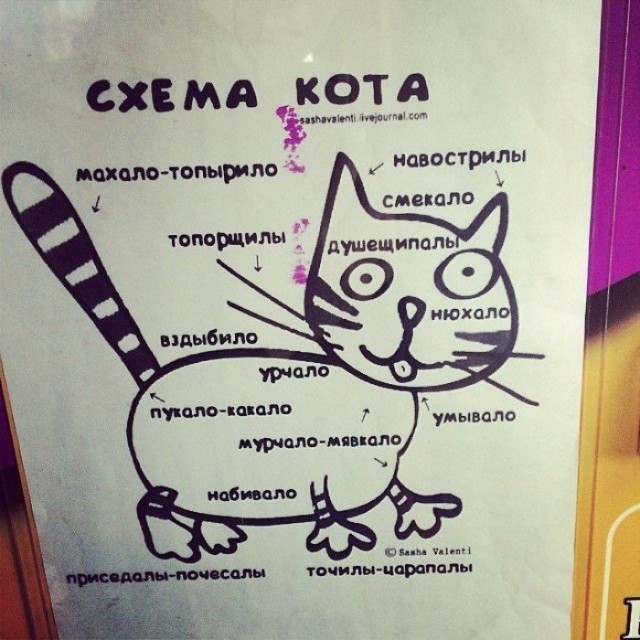 Приходи ко мне лечиться и корова, и волчица! Тема о буднях ветеринарных врачей.