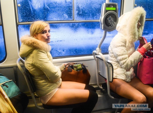 Тысячи людей по всему миру спустились в метро без штанов
