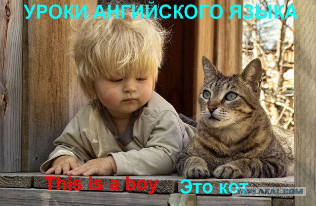 Почему Путин снова победит... победит?