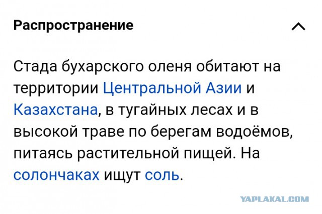 Продам Пчаки