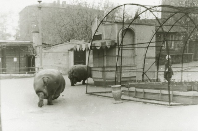 Интересные и редкие ретро-фотографии