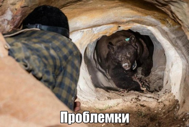 Картинки по-приколу