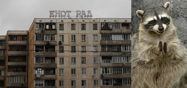 Нестандартный юмор