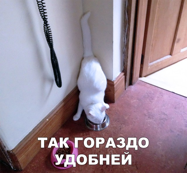 Немного милоты
