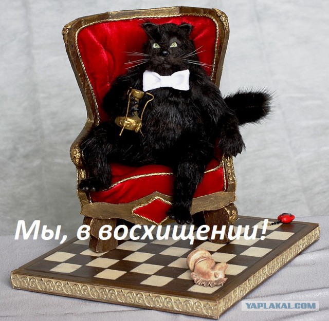 Скворцова заявила о необходимости повысить цены на сладкое и соленое ради здоровья россиян