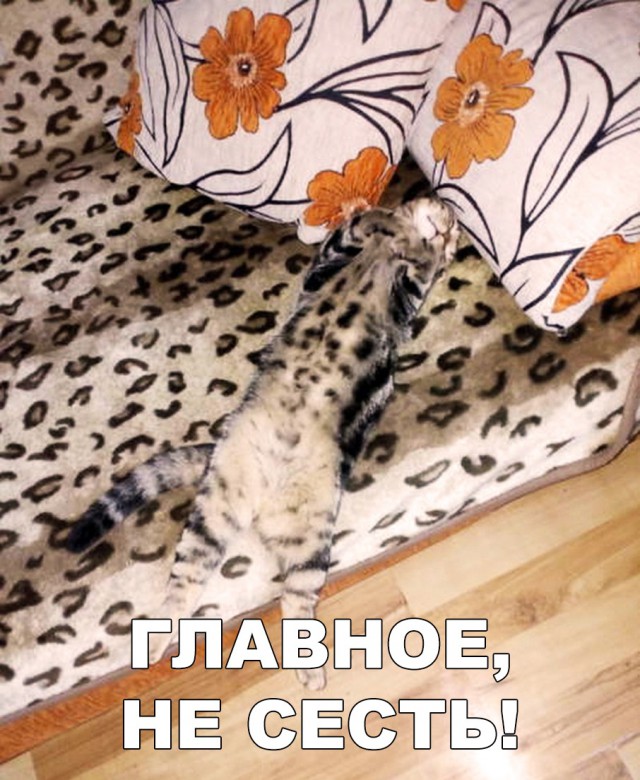 Нестандартный юмор