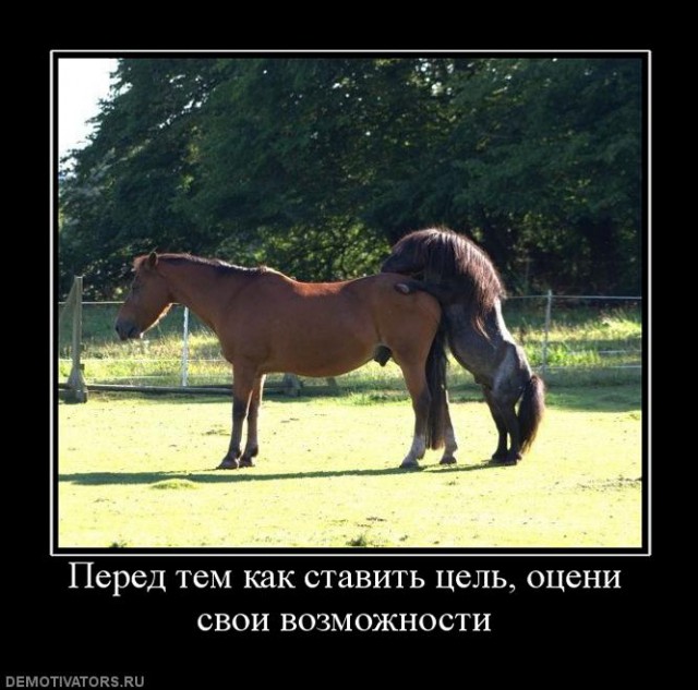 Демки и ностальджи