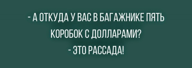 Картинки с надписями и анекдоты