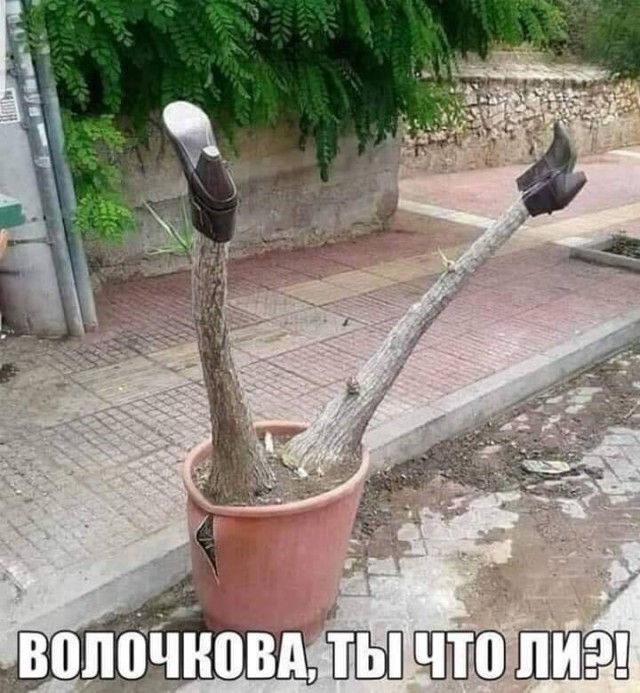 Бредзона 19.02.2020