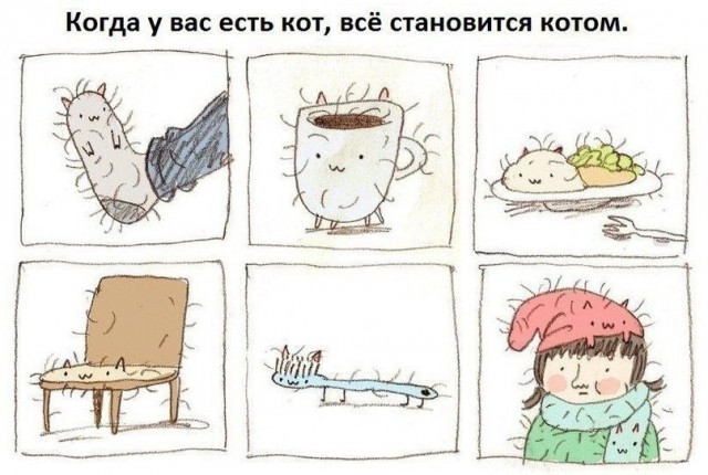 Мужчины научились жить одни. Женщин это сильно злит