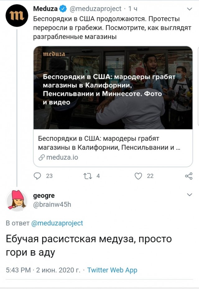 Противники черного бунта в США