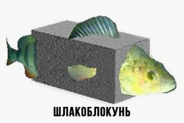 Весёлый неадекват 20.20.20.07
