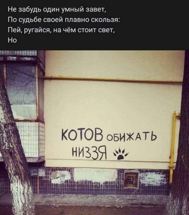 Чутка лайтовой фигни в ленту