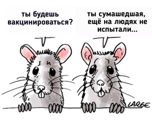 В России начинается массовая добровольная вакцинация населения от коронавируса, но оказывается всё не так радужно