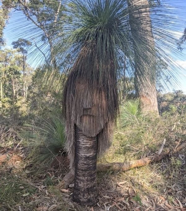 Новый Mix из картинок...