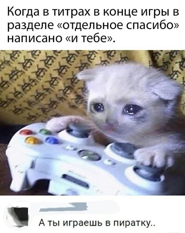 Картинки с котами и про котов